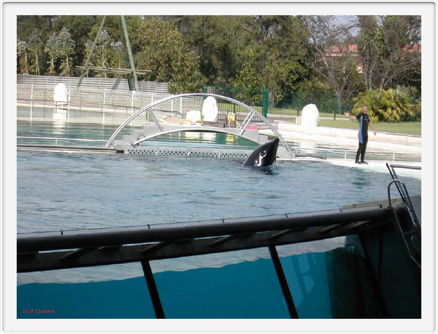 Marineland_211.JPG