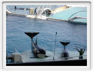 DSCN4226.JPG