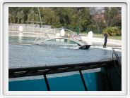 Marineland_212.JPG