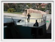Marineland_214.JPG