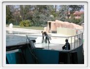 Marineland_215.JPG