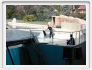 Marineland_216.JPG