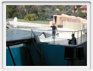 Marineland_217.JPG