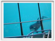 Marineland_219.JPG