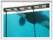 Marineland_231.JPG