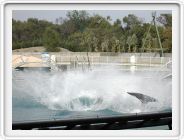 Marineland_232.JPG