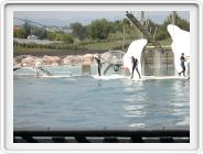 Marineland_236.JPG