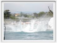 Marineland_243.JPG