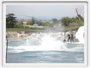 Marineland_244.JPG