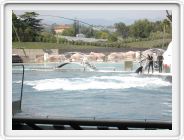 Marineland_245.JPG