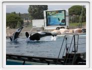 Marineland_246.JPG