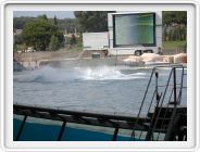 Marineland_247.JPG