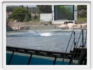 Marineland_248.JPG