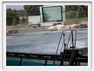 Marineland_251.JPG