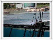 Marineland_252.JPG