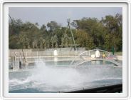 Marineland_254.JPG