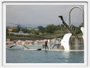 Marineland_256.JPG