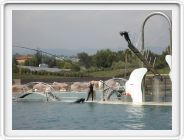 Marineland_257.JPG