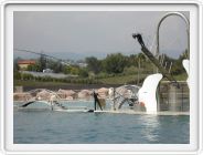 Marineland_259.JPG