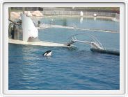 DSCN4245.JPG