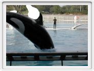 Marineland_264.JPG