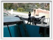 Marineland_266.JPG