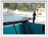 Marineland_269.JPG