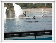 Marineland_270.JPG