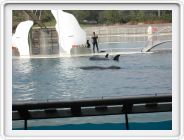 Marineland_271.JPG