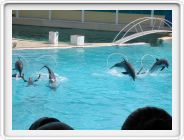 DSCN4261.JPG