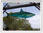 Marineland_273.JPG