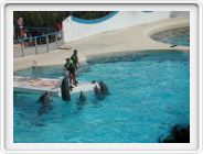 DSCN4267.JPG