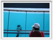 DSCN4227.JPG