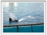 DSCN4281.JPG
