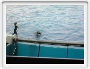 DSCN4282.JPG
