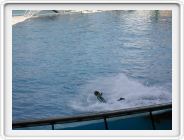 DSCN4286.JPG