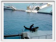 Marineland_008.JPG