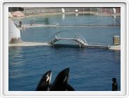 DSCN4228.JPG