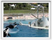 Marineland_018.JPG