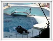 Marineland_019.JPG