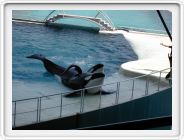 Marineland_020.JPG
