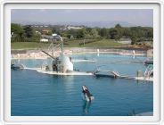 Marineland_034.JPG