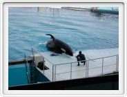 Marineland_037.JPG