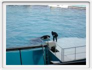 Marineland_040.JPG