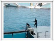 Marineland_041.JPG