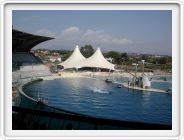 DSCN4229.JPG