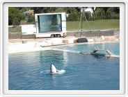 Marineland_043.JPG