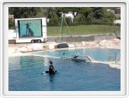 Marineland_044.JPG