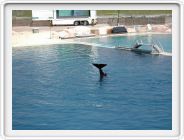 Marineland_045.JPG