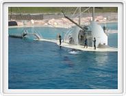 Marineland_050.JPG